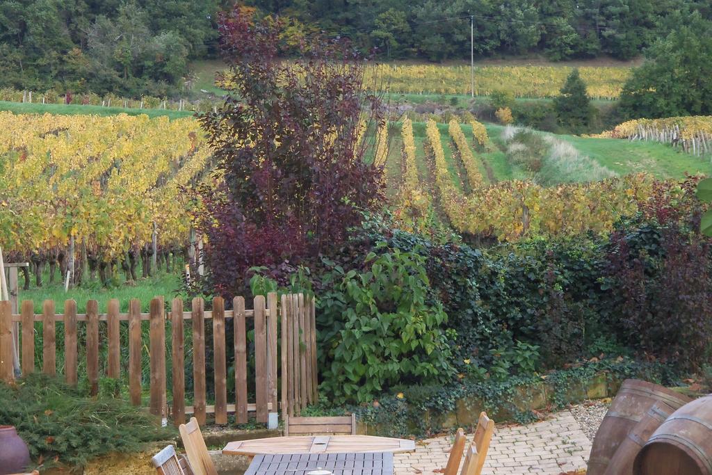 La Petite Madeleine Hotel Castillon la Bataille Bagian luar foto