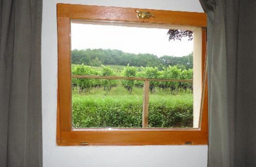 La Petite Madeleine Hotel Castillon la Bataille Ruang foto