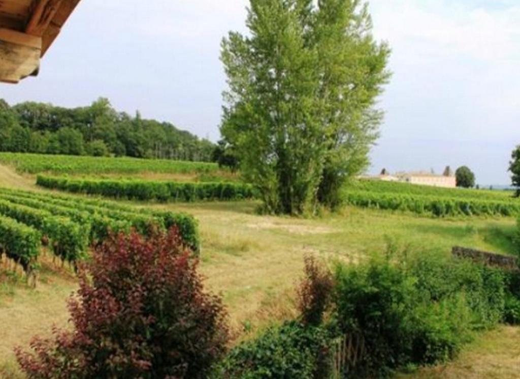 La Petite Madeleine Hotel Castillon la Bataille Bagian luar foto