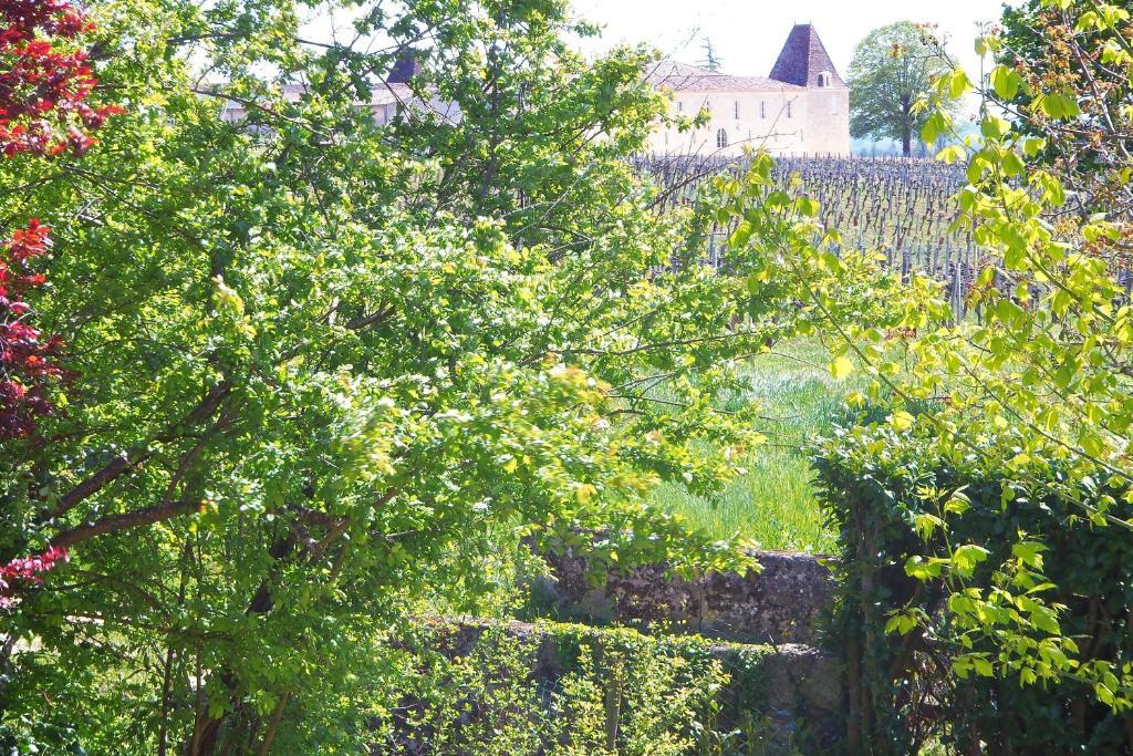 La Petite Madeleine Hotel Castillon la Bataille Bagian luar foto